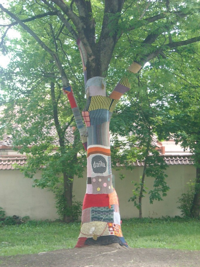 ubrane drzewo, fot. M. Duszka